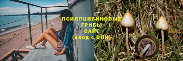 бошки Бугульма