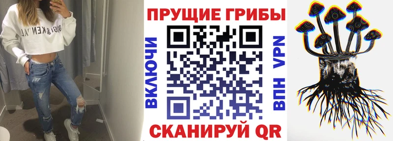 Галлюциногенные грибы MAGIC MUSHROOMS  Южно-Сахалинск 
